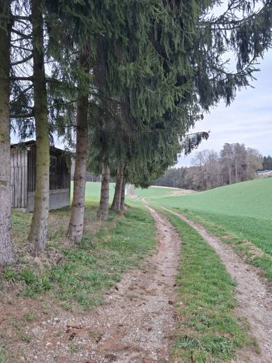 Einfamilienhaus zum Kauf 580.000 € 6 Zimmer 90 m² Nißlpram Bayerbach 84092