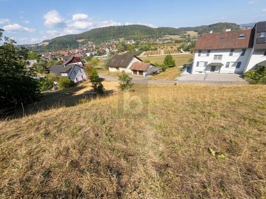 Grundstück zum Kauf 249.000 € 1.082 m² Grundstück Gurtweil Waldshut-Tiengen 79761