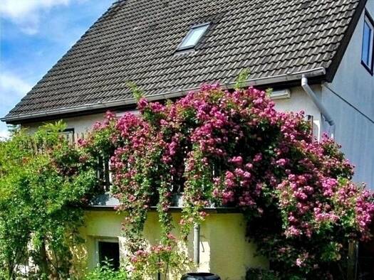 Einfamilienhaus zum Kauf 499.000 € 4 Zimmer 130 m² 535 m² Grundstück Heiligensee Reinickendorf 13503