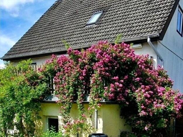 Einfamilienhaus zum Kauf 499.000 € 4 Zimmer 130 m² 535 m² Grundstück Heiligensee Berlin 13503