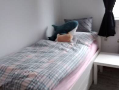 Wohnung zur Miete 400 € 1 Zimmer 20 m² frei ab 15.08.2025 Bebenhäuser Straße 2 Lustnau Tübingen 72074