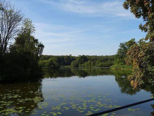 Grundstück zum Kauf 206.000 € 711 m² Grundstück Alte Siedlung Grönwohld 22956