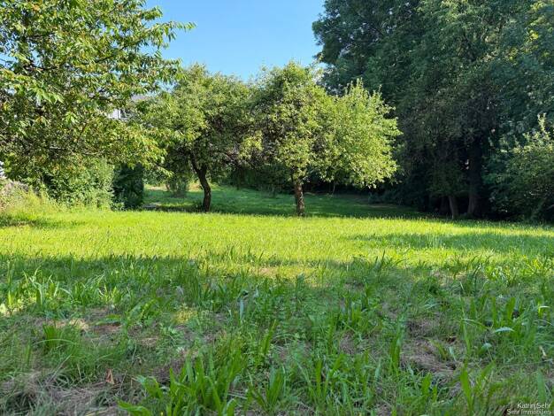 Grundstück zum Kauf 94.500 € 2.163 m² Grundstück Hohenstein-Ernstthal Hohenstein-Ernstthal 09337
