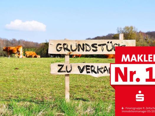 Grundstück zum Kauf 61.900 € 2.476 m² Grundstück Birkelbach Erndtebrück 57339