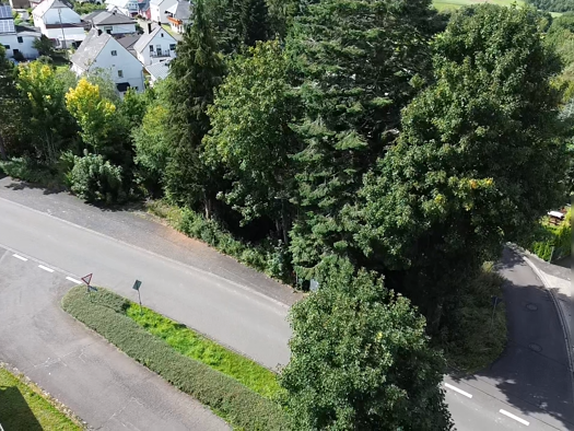 Grundstück zum Kauf 65.000 € 1.730 m² Grundstück Malborn 54426