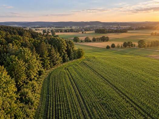 Land-/Forstwirtschaft zum Kauf 60.000 € 6.441 m² Grundstück Bruck Bruck 85567
