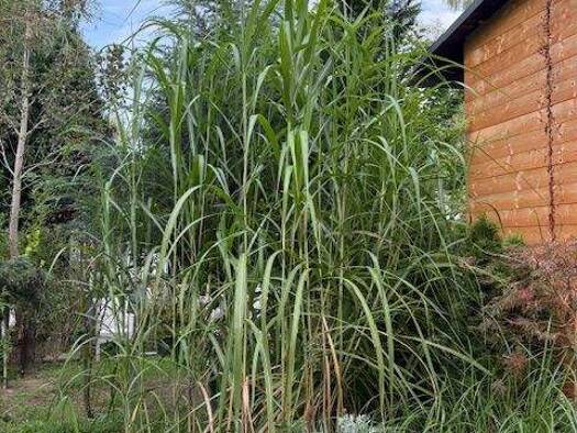 Haus zum Kauf 2 Zimmer 58 m² 665 m² Grundstück frei ab sofort Saarmund Nuthetal 14558