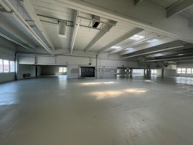 Lagerhalle zur Miete provisionsfrei 4.520 m² Lagerfläche Kaefertal - Mitte Mannheim 68309