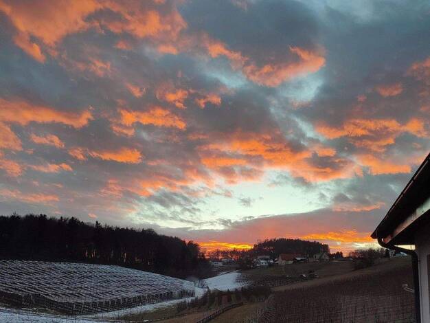 Bungalow zum Kauf provisionsfrei 619.000 € 6 Zimmer 120 m² 1.300 m² Grundstück Nestelbach bei Graz 8302