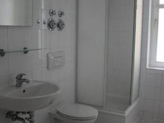Wohnung zur Miete 250 € 2 Zimmer 52 m² Grünhainichen Grünhainichen / OT Borstendorf 09579
