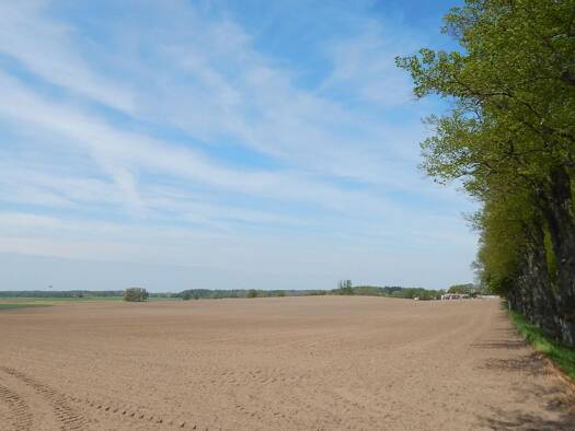 Grundstück zum Kauf 8.500 m² Grundstück Zülow 19073