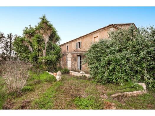 Acker-/Waldstück zum Kauf 750.000 € Manacor 07500