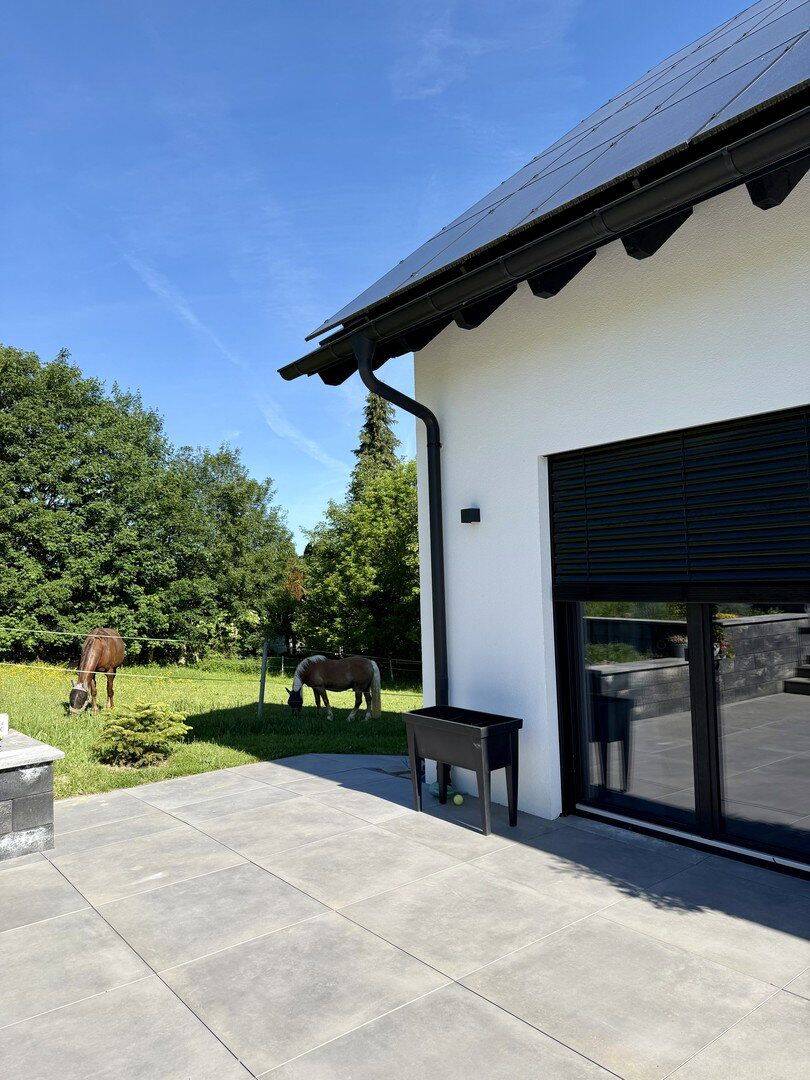 Einfamilienhaus zum Kauf - Ansicht 3