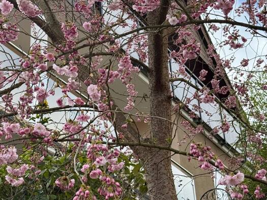 Einfamilienhaus zum Kauf 435.000 € 5 Zimmer 190 m² frei ab sofort Ascher Straße 3 Rotenburg Rotenburg an der Fulda 36199