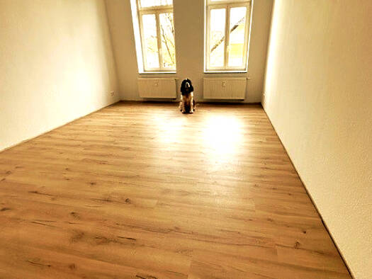 Wohnung zur Miete 385 € 2 Zimmer 70 m² 3. Geschoss Ludwigstraße 45 Schloßchemnitz Chemnitz 09113