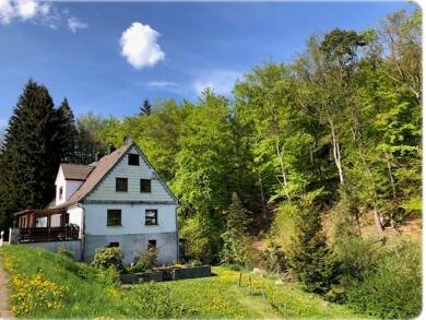 Einfamilienhaus zum Kauf 178.000 € 7 Zimmer 170 m² 1.861 m² Grundstück Neerdar Willingen (Upland) 34508