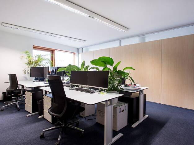 Bürofläche zur Miete provisionsfrei 8.000 € 375 m² Bürofläche Nymphenburger Straße Maxvorstadt München 80335
