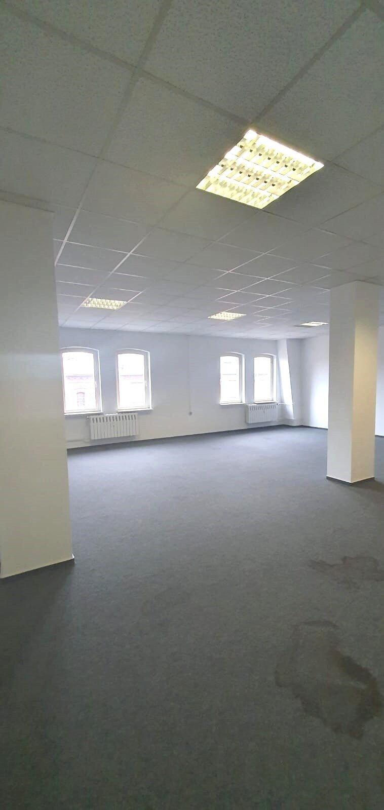 Büro-/Praxisfläche zur Miete provisionsfrei 6 € 220 m²<br/>Bürofläche Mittagstr. . Insleber Straße / Münchenhofstraße Magdeburg 39124