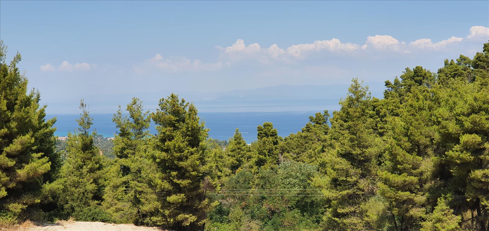 Land-/Forstwirtschaft zum Kauf 1.000.000 € 16.000 m²<br/>Grundstück Chalkidiki