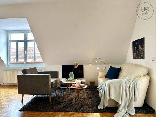 Wohnung zur Miete Wohnen auf Zeit 1.050 € 2 Zimmer 51 m² frei ab sofort Schleußig Leipzig 04229