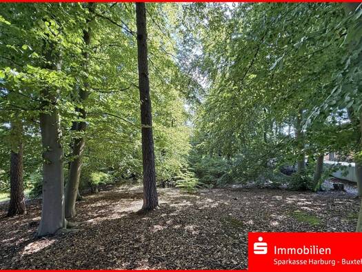 Grundstück zum Kauf 260.000 € 1.300 m² Grundstück Buchholz 21244