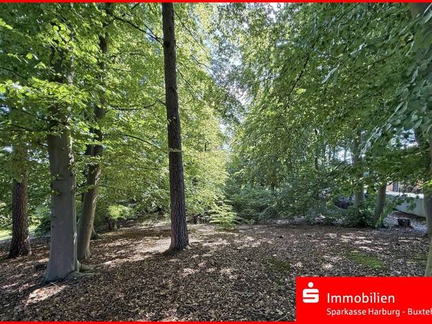 Grundstück zum Kauf 260.000 € 1.300 m² Grundstück Buchholz 21244
