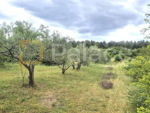 Acker-/Waldstück zum Kauf 30.840 € Skradin 22222