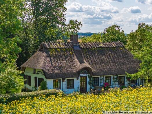 Haus zum Kauf 329.000 € 5 Zimmer 95 m² 17.580 m² Grundstück Steinbergkirche 24972