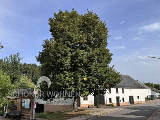Bauernhaus zum Kauf 2.200 m² Grundstück Morscholz Wadern 66687