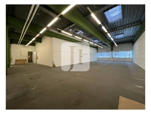Lagerhalle zur Miete 1.740 m² Lagerfläche teilbar ab 304 m² Reinbek Reinbek 21465