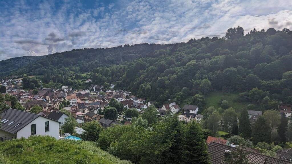 Grundstück zum Kauf 65.000 € 519 m² Grundstück Schönau 69250