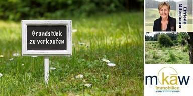 Grundstück zum Kauf 1.300 m² Grundstück Mattsee 5163