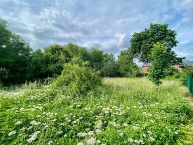 Grundstück zum Kauf 119.000 € 1.365 m² Grundstück Neuhof Neuhof / Boissow 19246