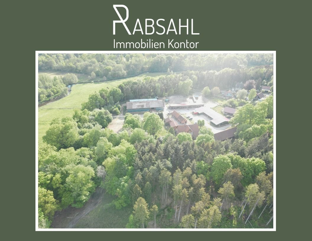 Reiterhof zum Kauf 1.450.000 € 163 m²<br/>Fläche 45.701 m²<br/>Grundstück Elferdingen Bomlitz 29699