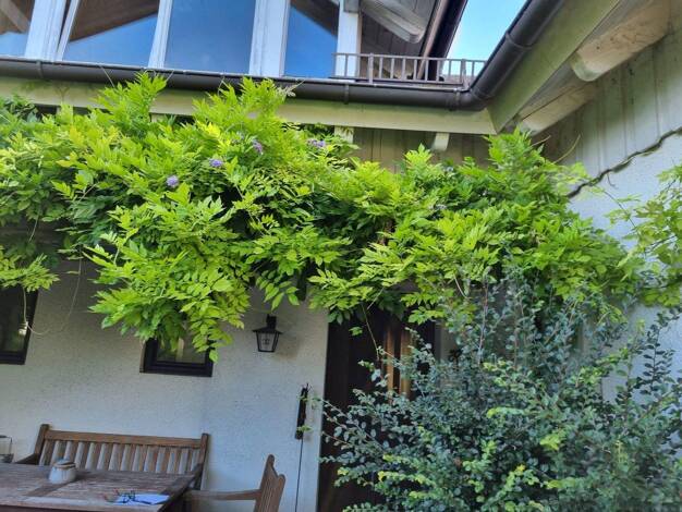 Bungalow zur Miete 3.200 € 5 Zimmer 240 m² 1.400 m² Grundstück frei ab 01.11.2026 Kaagangerstraße 8 Eching Eching am Ammersee 82279