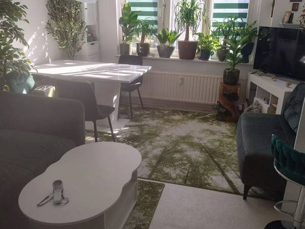 Wohnung zur Miete 420 € 2 Zimmer 40 m² 1. Geschoss Elberfeld Uellendahl - Katernberg 42105