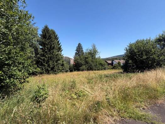 Grundstück zum Kauf 95.000 € 945 m² Grundstück Altenau 38707