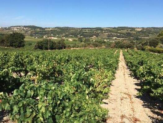 Land-/Forstwirtschaft zum Kauf 1.910.000 € 400.000 m² Grundstück SEGURET 84350