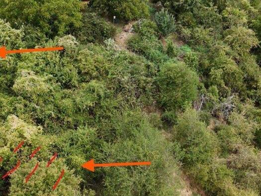 Land-/Forstwirtschaft zum Kauf provisionsfrei 5.900 € 450 m² Grundstück Oberlahnstein Lahnstein 56112