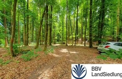 Land-/Forstwirtschaft zum Kauf 3.705 m² 3.705 m² Grundstück Bojendorf Wattendorf 96196