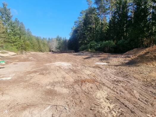 Grundstück zum Kauf 69.000 € 2.478 m² Grundstück Thören 29308