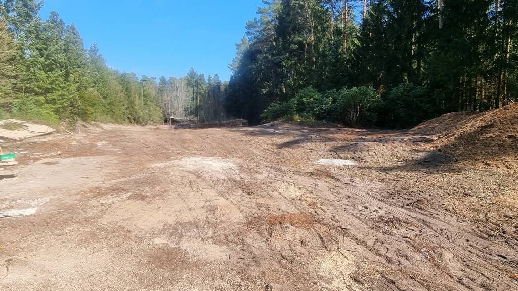 Grundstück zum Kauf 69.000 € 2.478 m² Grundstück Thören 29308