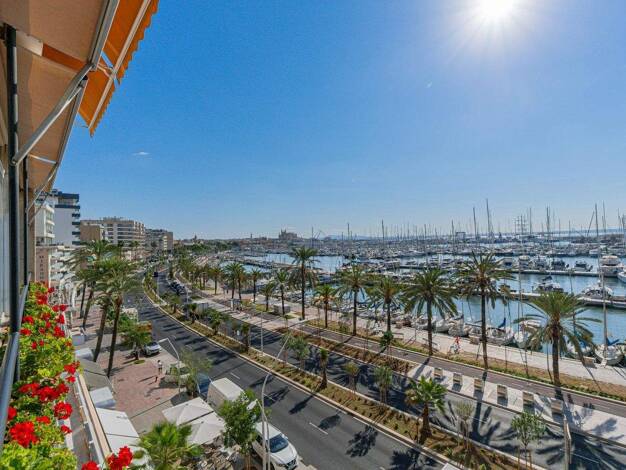 Wohnung zum Kauf provisionsfrei 1.999.000 € 6 Zimmer 324 m² Palma 07014