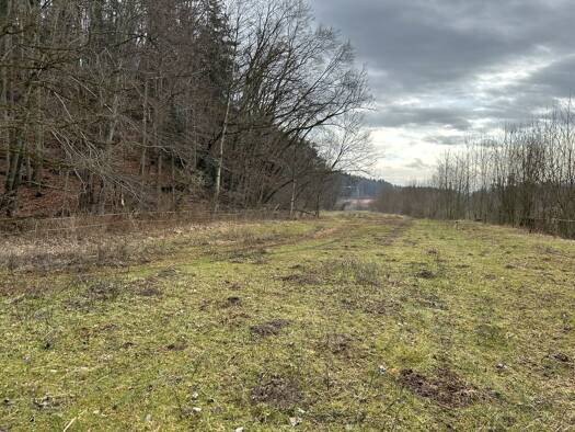 Land-/Forstwirtschaft zum Kauf 147.000 € 9.170 m² Grundstück Hartmann Nußdorf 83365
