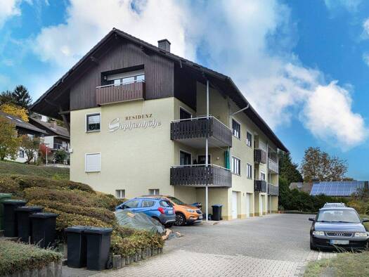 Wohnung zum Kauf provisionsfrei 109.000 € 2 Zimmer 59 m² EG Erbach 64711