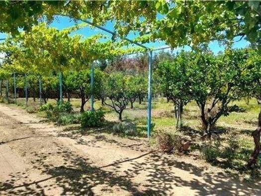 Büro zum Kauf 200.000.000 € Quillon