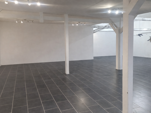 Verkaufsfläche zur Miete provisionsfrei 2,95 € 2 Zimmer 340 m² Verkaufsfläche Laasener Str. 24 Innenstadt Gera 07545
