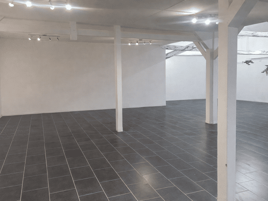 Verkaufsfläche zur Miete provisionsfrei 2,95 € 2 Zimmer 340 m² Verkaufsfläche Laasener Straße 24 Innenstadt Gera 07545