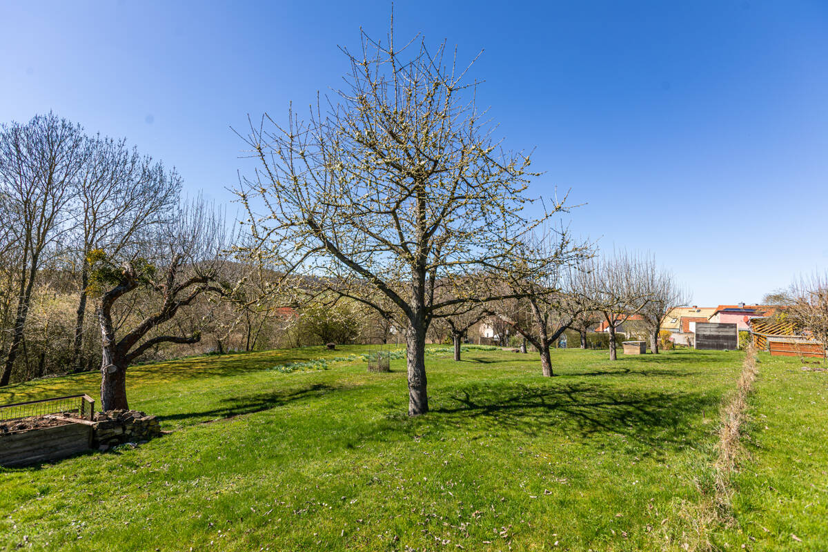 Einfamilienhaus zum Kauf - Ansicht 6