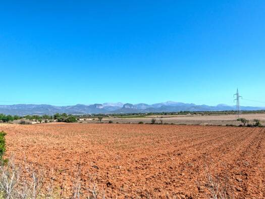Freizeitgrundstück zum Kauf provisionsfrei 330.000 € 25.612 m² Grundstück Santa Eugènia 07142